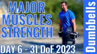 Dumbbell Full Body Workout -  Major Muscles - Day 6 - 31 Days of Fitness Series 2023
