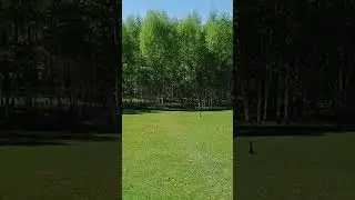 #лайк