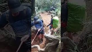 Gn.cikuray via pemancar