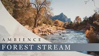 Fresh Forest Stream - Gently Running Stream, Birdsong, Sheep, Wind in Trees