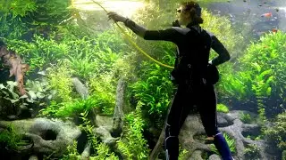 Journey Inside a Mega Aquarium