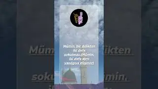 Cümle Mahluk Zikreder | En Güzel İlahiler