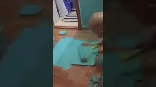 Прикольное видео: Нам бежать то некуда сынок...