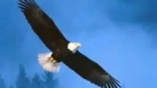 Salmo 90: Signore mio rifugio