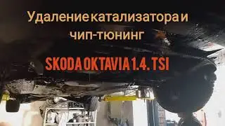 Удаление катализатора Skoda Octavia 2013 года 1.4 TSI. Чип-тюнинг. Ошибка P0420