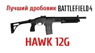 HAWK 12G one shot