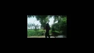 pertulangan menangkap ikan ke sungai, straik nya banyak gaess