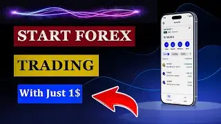 Best Broker For Cent Account
