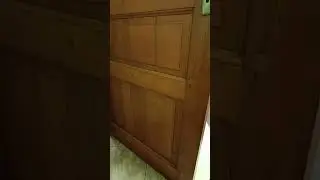 22 ноября 2023 г.