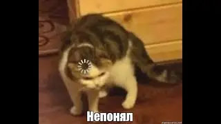 Чайник вскипел вася
