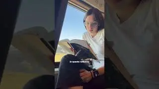 Quanto leggo in treno?