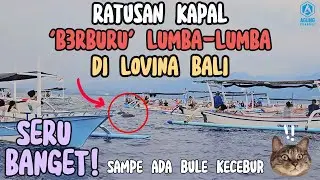SERU LIHAT LUMBA LUMBA DI PANTAI LOVINA BALI | NAIK KAPAL MELIHAT ATRAKSI LUMBA LUMBA LOVINA BALI