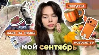 Vlog: Getting my driver's license 🚗🪪 Going shopping 🛍️ Teslond & Barashik's housewarming party 🎉 ...