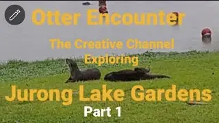 Otter Encounter at Jurong Lake Gardens, Exploring Singapore 🇸🇬 / Part 1