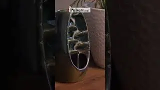 Nature's Beauty in Your Home