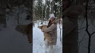 Альтернатива Новогодней елке своими руками 🌲