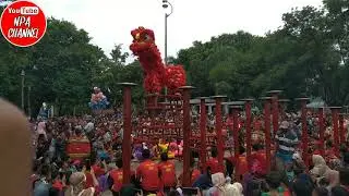 BARONGSAI!!CFD ALUN