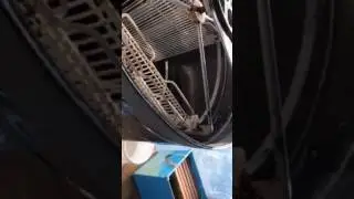 Леча Базаев качаем мёд