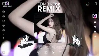 【热门置顶】弹指一曲荼蘼开 渺音断了人肠东风瘦〈DJ版〉Remix) 《Melody TikTok Douyin VIP Hit》｜盤點2025抖音熱門原創單曲｜TikTok｜抖音