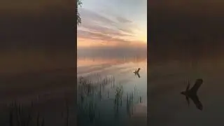 Чудесное утро перед рассветом