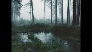 1X1/HVHSTAR HIGHLIGHTS
