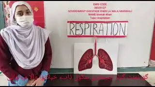 Stem Competition 20+ Examples of different models