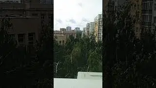 #москва #москва24 #московскаяобласть