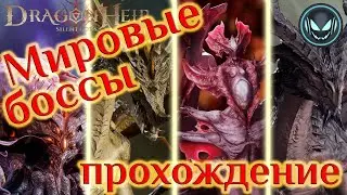 Мировые боссы максимальная сложность 2й сезон | Gray plays | Dragonheir: Silent Gods