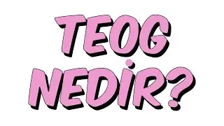 TEOG NEDİR?