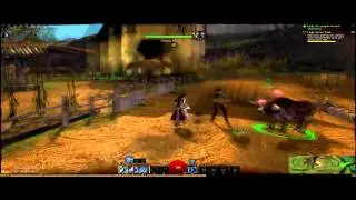 Sweaty Gamers: Guild Wars 2  Playthrough  Part 2 - Milk the Cows Get the Moneys