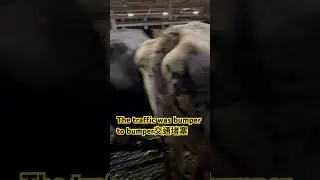 #farm