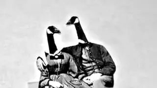 Goose
