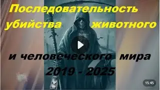 НАС убили или нам только кажется? Фашизм или рай?