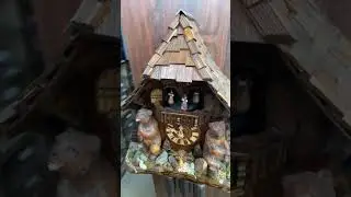 German 8 day cuckoo clock bear nature scene