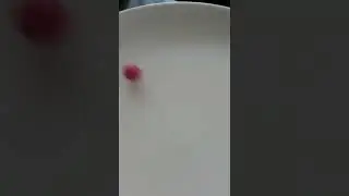 ASMR PINK FRUIT BOMBS💣CANDY SOUNDS 