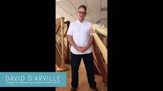 How to Buy a Used Pedal Harp