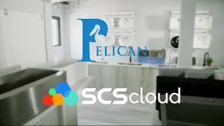 SCS Cloud NetSuite Case Study - Pelican Int'l