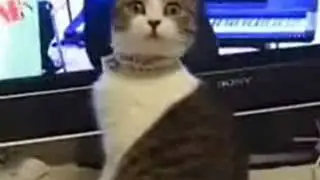 Страшно..
