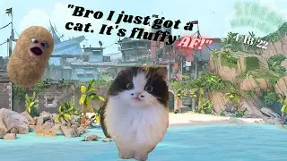 THIS CAT IS SO FLUFFY!!🐱 | Stream Highlights 4/18