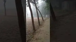 Foggy weather 💕 #rurallove #happiness #foggy