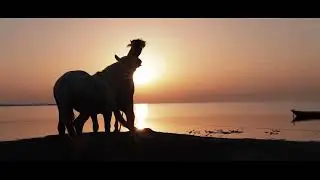 Черноглазая казачка