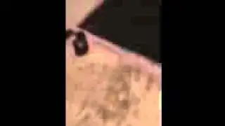 Impossible + barefoot= must be drunk