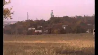 Стая скворцов