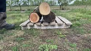 Stihl ms171 chainsaw