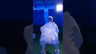 3 сентября 2023 г.