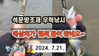 석문방조제 우럭낚시 애삼치가 벌써 들어 왔네요 ~