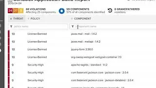 Policy-oriented Reporting with Nexus Lifecycle