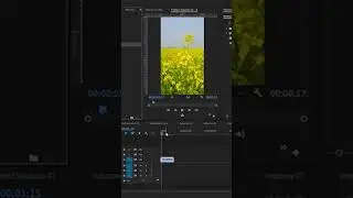 How to Isolate Color in Premiere Pro Videotrix 