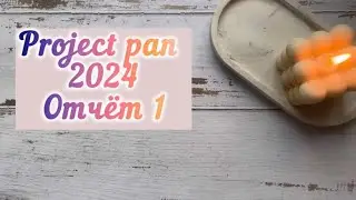 Project pan / Использовать и выбросить 1 отчёт