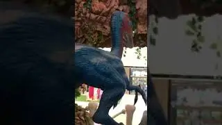Dinosaur 🦕 #viral #babytime #viralreels #viralvideo #video  #viralshort